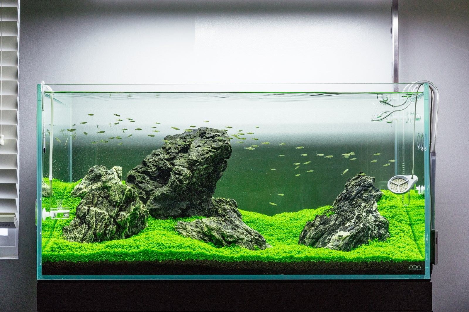 A pristine iwagumi-style planted aquarium with layered stone hardscape and a lush green carpet.